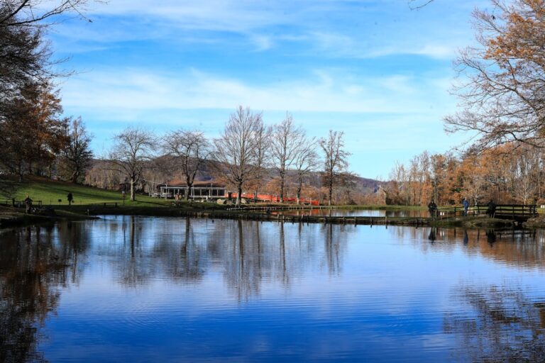 How to Plan a Perfect Weekend Getaway with StrayLuxe